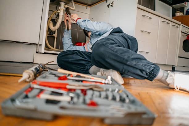 Best Affordable Plumbing Services  in Taylors Falls, MN