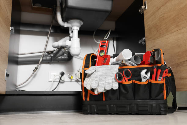 Best Clogged Drain Plumber  in Taylors Falls, MN